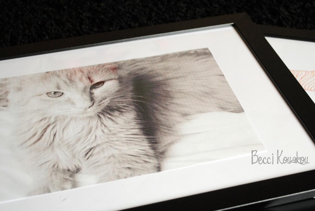 Katzenbereich aus Bilderrahmen – DIY